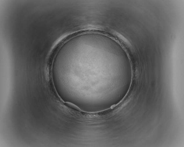 X0000111031310200907021530