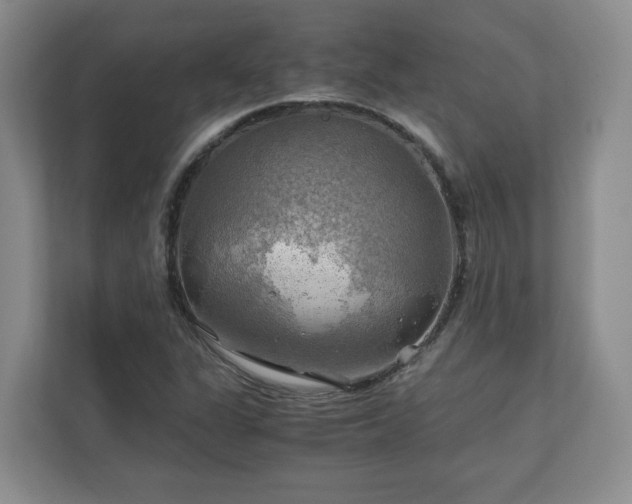 X0000111031311200907021530