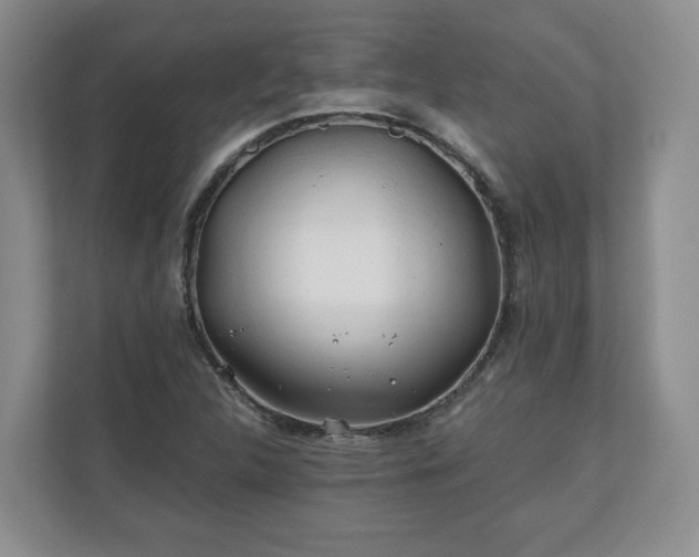 X0000111031312200907021530