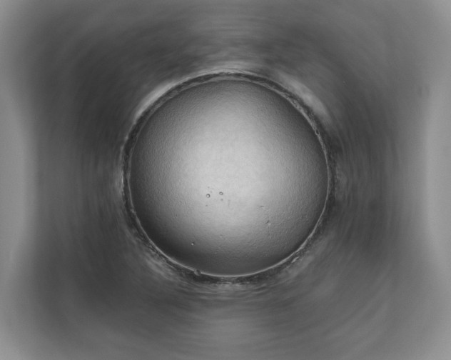 X0000111031316200907021530