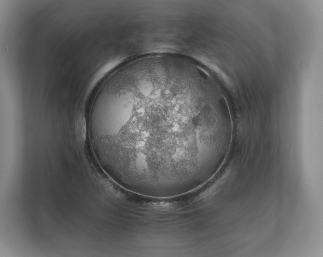 X0000111031317200907021530