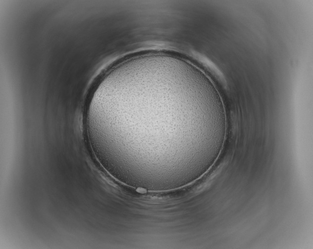 X0000111031318200907021530