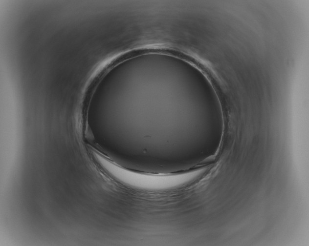X0000111031319200907021530