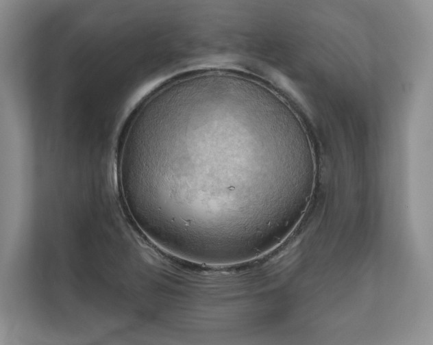 X0000111031320200907021530