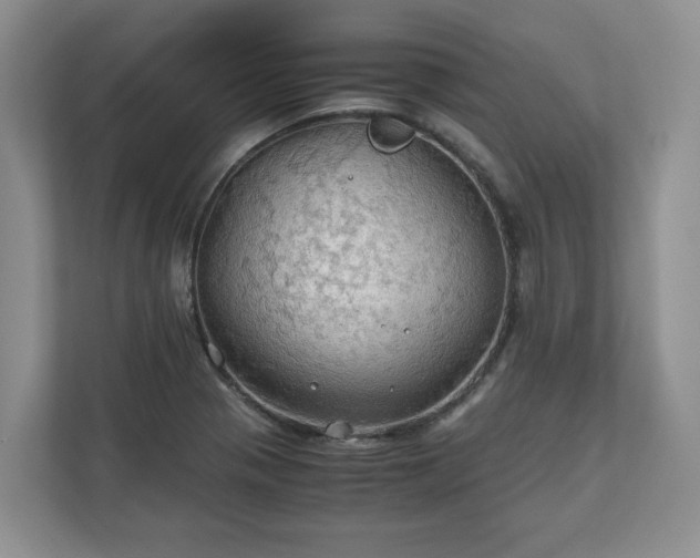 X0000111031321200907021530