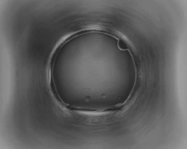 X0000111031323200907021530