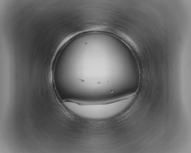 X0000111031324200907021530