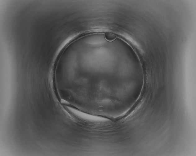 X0000111031325200907021530
