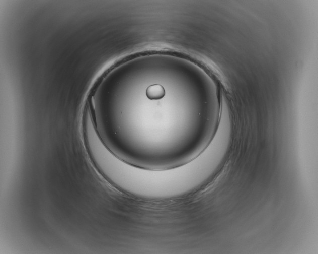 X0000111031326200907021530