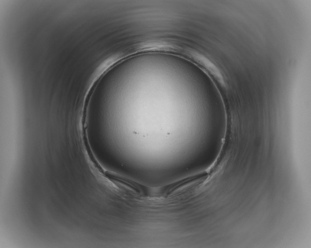 X0000111031330200907021530