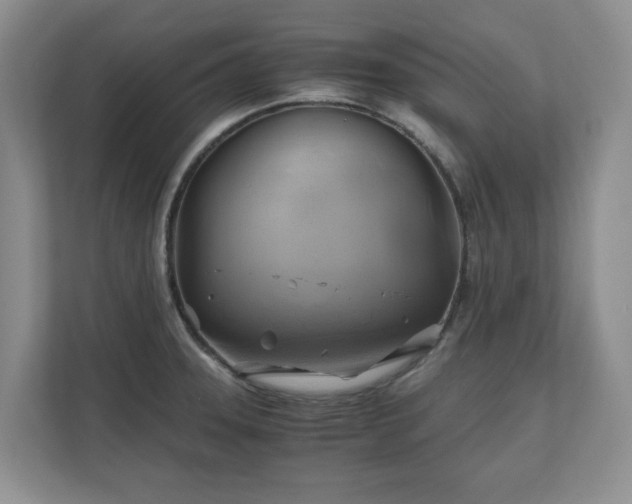 X0000111031331200907021530