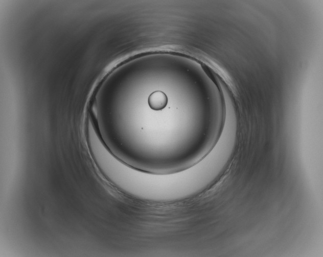 X0000111031332200907021530