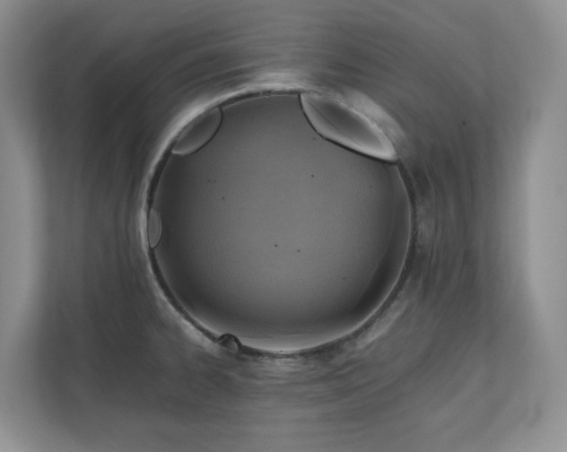 X0000111031334200907021530