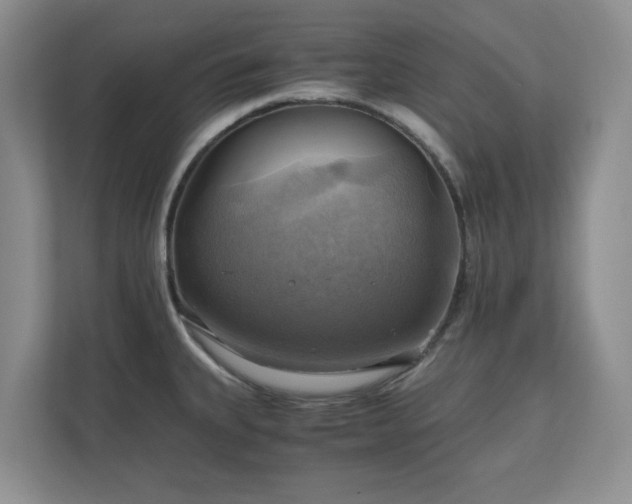 X0000111031335200907021530