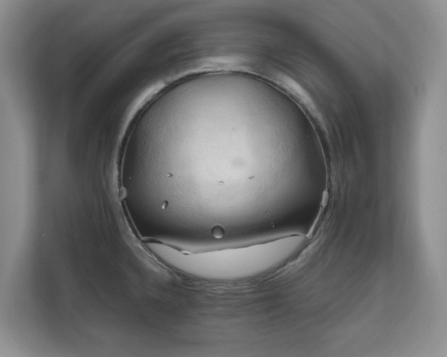 X0000111031336200907021530