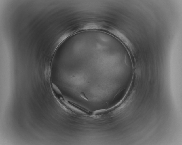 X0000111031337200907021530