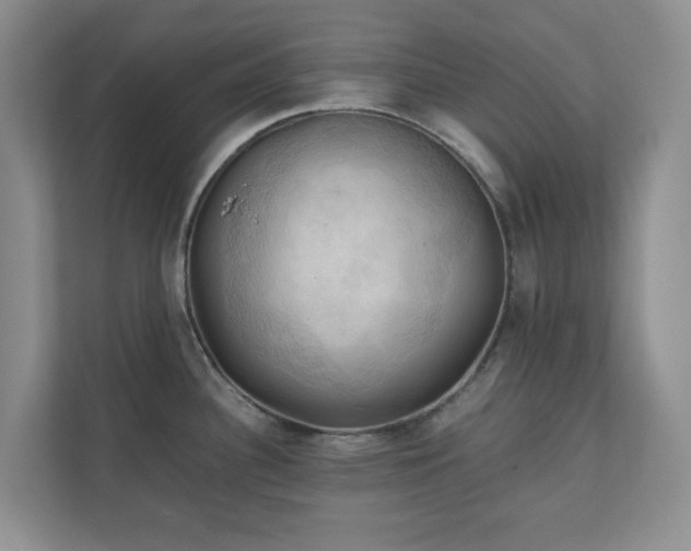 X0000111031340200907021530