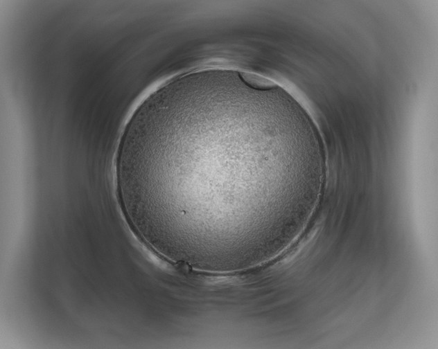 X0000111031341200907021530