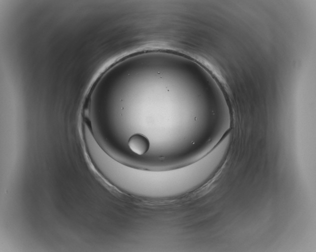 X0000111031342200907021530