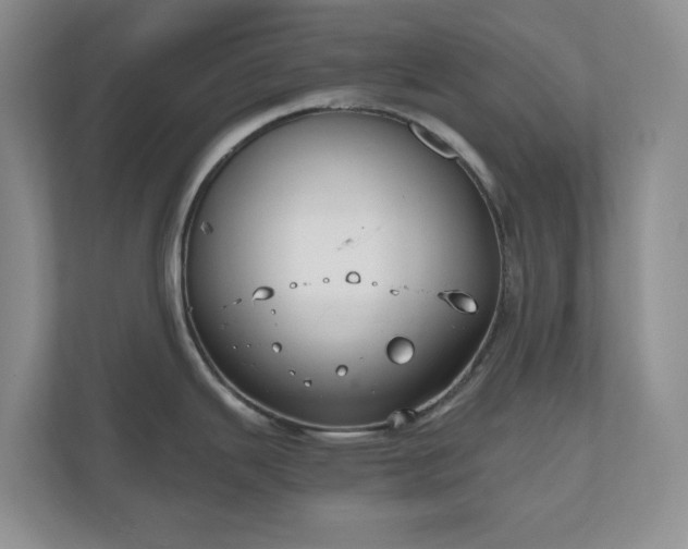 X0000111031343200907021530