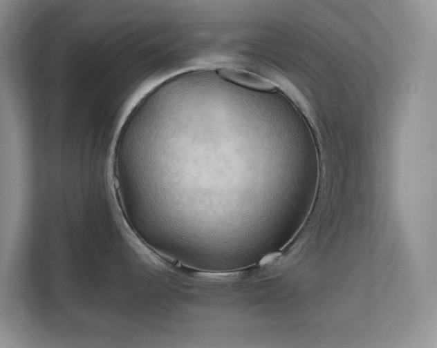 X0000111031344200907021530