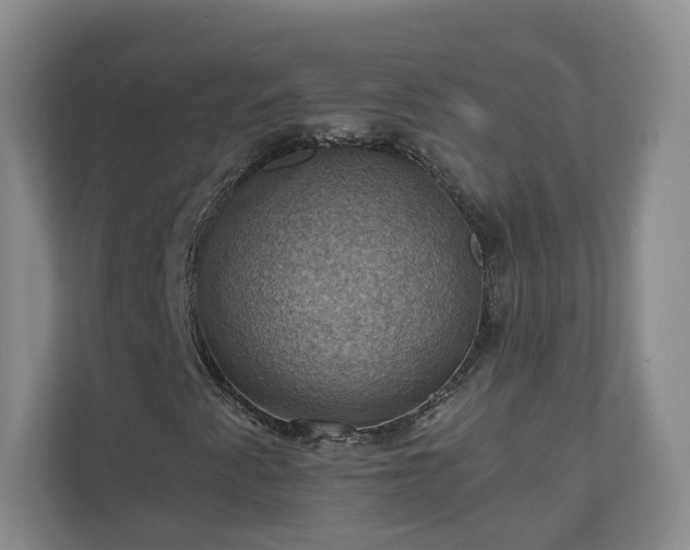 X0000111031345200907021530