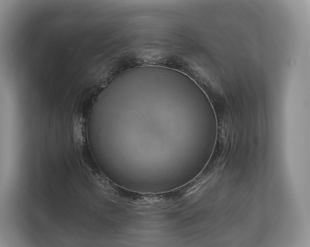 X0000111031346200907021530