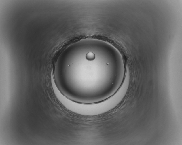 X0000111031349200907021530