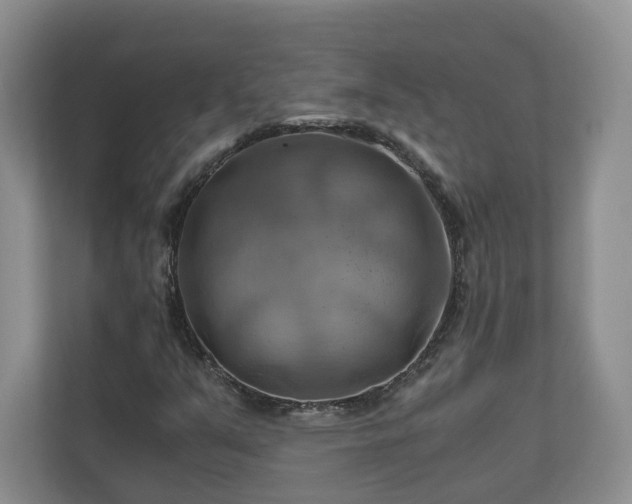 X0000111031351200907021530