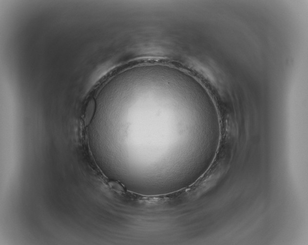 X0000111031352200907021530