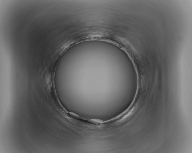 X0000111031353200907021530