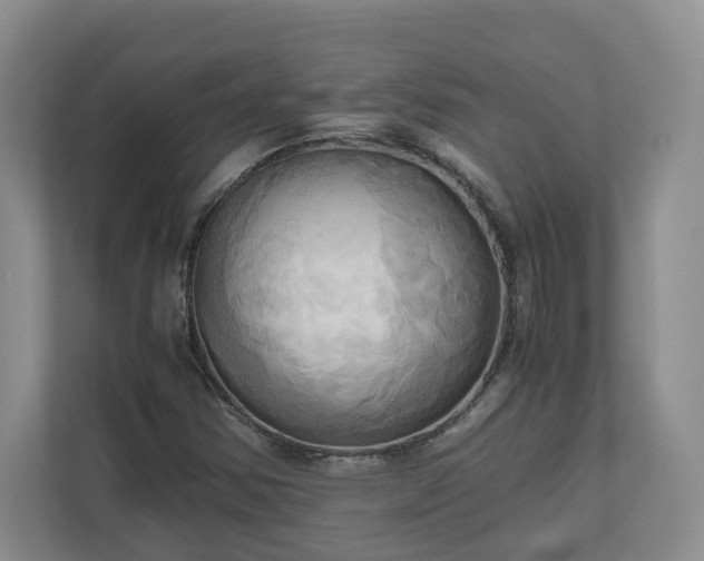 X0000111031354200907021530