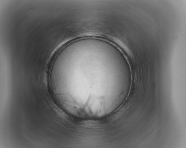 X0000111031356200907021530
