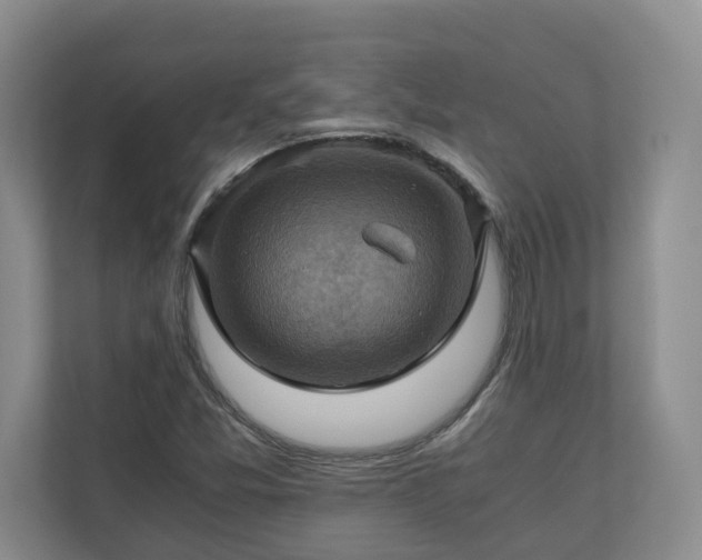 X0000111031357200907021530