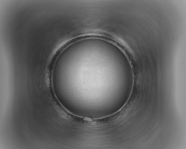 X0000111031360200907021530