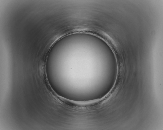 X0000111031361200907021530