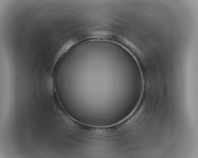 X0000111031362200907021530