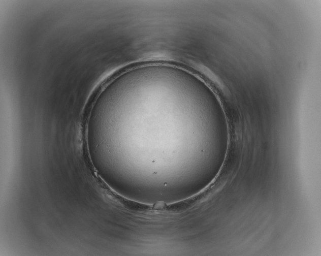 X0000111031364200907021530