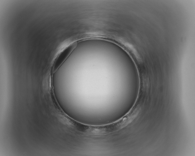 X0000111031365200907021530