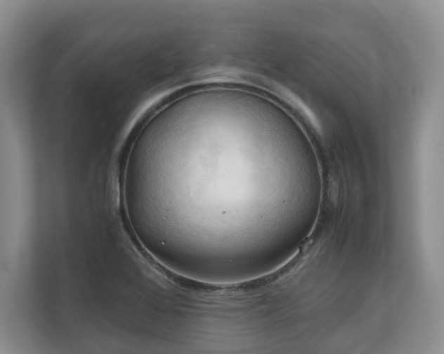 X0000111031368200907021530