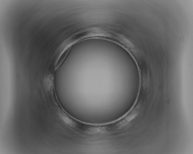 X0000111031369200907021530