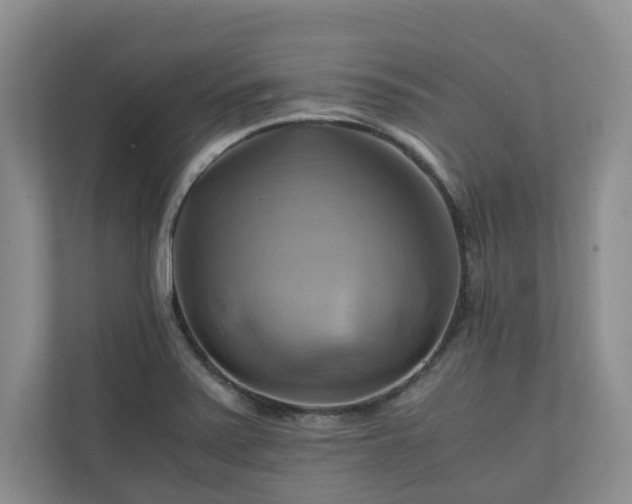 X0000111031371200907021529