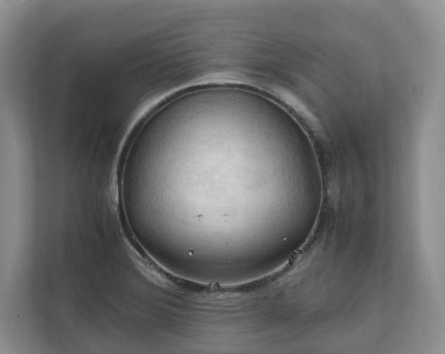 X0000111031372200907021529
