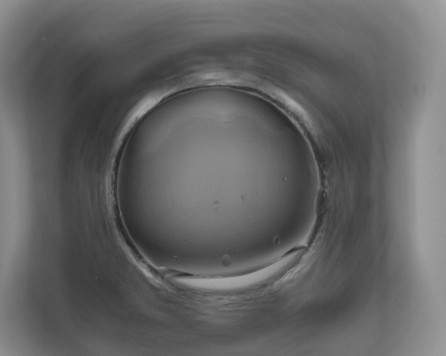 X0000111031373200907021529