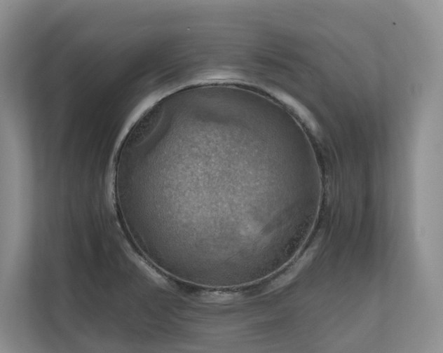 X0000111031374200907021529