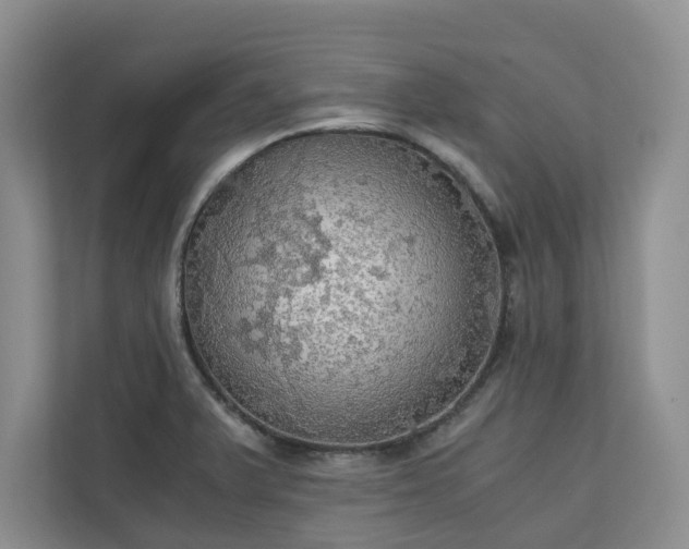 X0000111031375200907021529