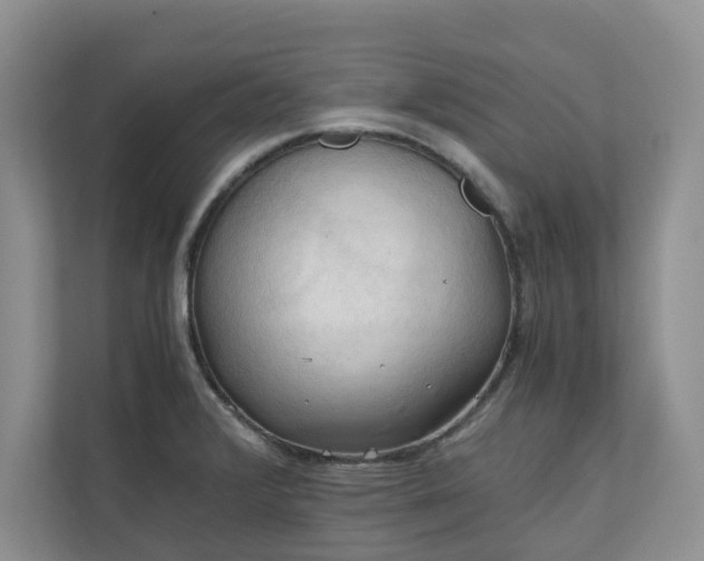 X0000111031376200907021529