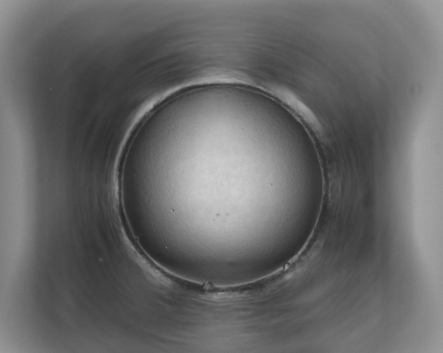X0000111031380200907021529