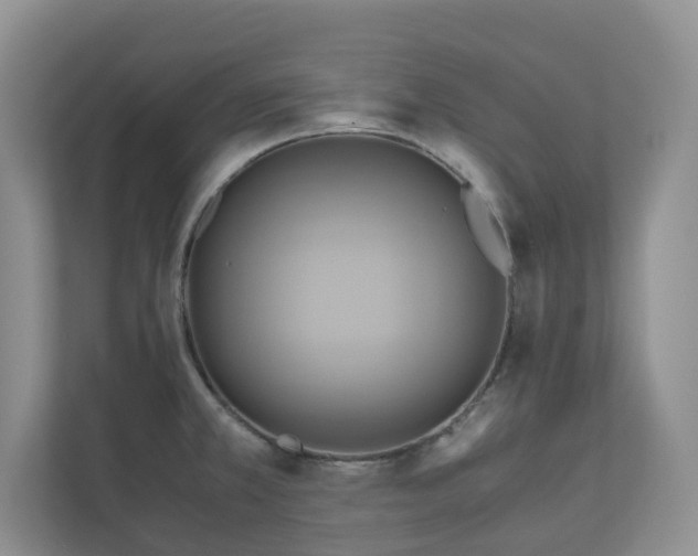 X0000111031381200907021529