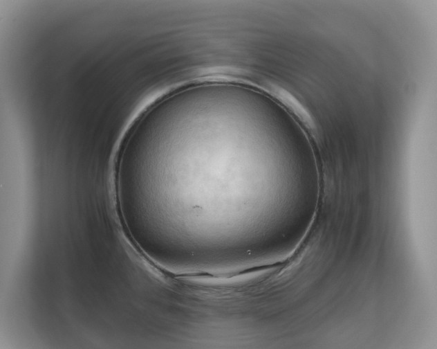 X0000111031384200907021529